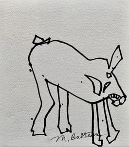 Chiens.