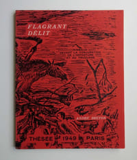 FLAGRANT DÉLIT. Rimbaud devant la conjuration de l'imposture et du trucage