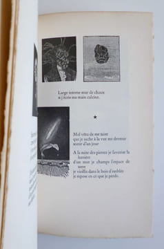 L' ÉTAT D' ÉBAUCHE images de Max Bucaille 1/85 ex. sur vélin de Hollande. Noël Arnaud & Max Bucaille