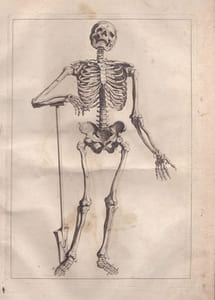 Abrégé d’anatomie, accommodé aux arts de peinture et de sculpture