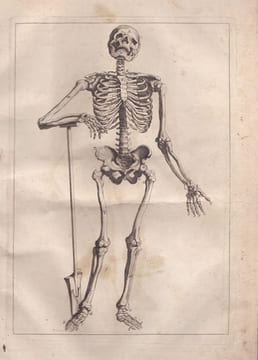 Abrégé d’anatomie, accommodé aux arts de peinture et de sculpture. TORTEBAT (François)