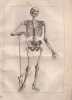 Abr&eacute;g&eacute; d’anatomie, accommod&eacute; aux arts de peinture et de sculpture. TORTEBAT (Fran&ccedil;ois)