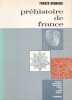 Pr&eacute;histoire de France. BOURDIER (Franck)