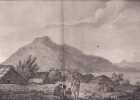 Gravure n&deg; 10  - Int&eacute;rieur d'un hippah de la Nouvelle Z&eacute;lande " - A Voyage to the Pacific Ocean [Third Voyage]". COOK (Captain James) 