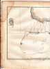 Gravure n&deg; 19 -  Plan du havre de Tongataboo " - A Voyage to the Pacific Ocean [Third Voyage]". COOK (Captain James) 