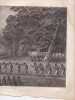 Gravure n&deg; 22 -  Natche, ou grande f&ecirc;te en l'honneur du fils du roi  " - A Voyage to the Pacific Ocean [Third Voyage]". COOK (Captain James) 
