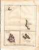 Gravure n&deg; 24 -  Isle Wenoota Ette, I. Watteoo, I. Mangeea, I. Toobouai  " - A Voyage to the Pacific Ocean [Third Voyage]". COOK (Captain James) 