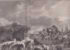 Gravure n&deg; 52 -  Chevaux de mer " - A Voyage to the Pacific Ocean [Third Voyage]". COOK (Captain James) 