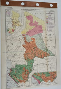 Carte - Afrique Equatoriale Française (N°45) - Carte des productions agricoles : Faune et Flore
