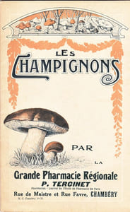Les champignons