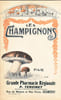 Les champignons. TERCINET (P)