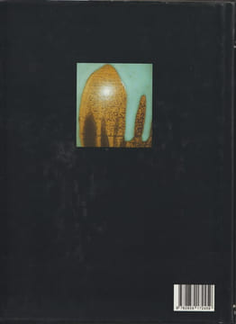 L'Ecole de Carriès - L'art céramique à Saint-Amand-en-Puisaye - 1888-1940. DUCRET (M) - MONJARET (P)