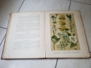 Atlas colorie des plantes usuelles  - 1901. Hoffmann - Perrot