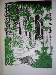 Au coeur secret des bois.