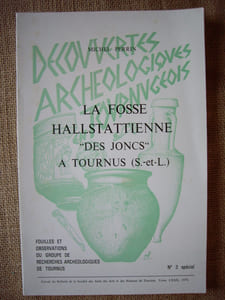 La fosse hallstattienne "des joncs" à TOURNUS (Saône-et-Loire).