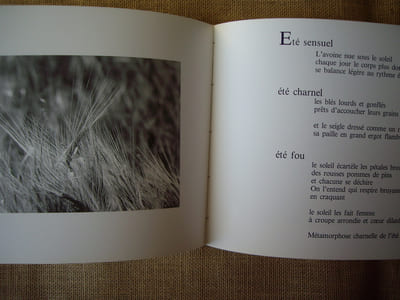 FLANDRE CHARNELLE.