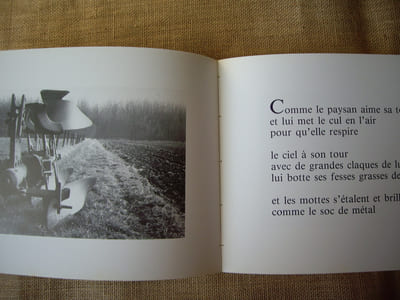 FLANDRE CHARNELLE.