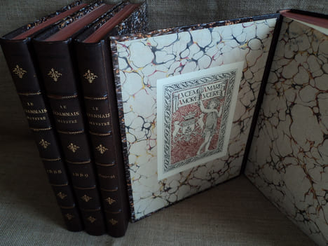 Le Roannais illustré, 1884 - 1895.. Collectif