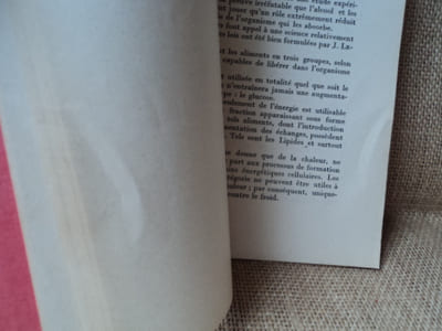 Valeur alimentaire des vins de 8° à 12°, doses quotidiennes pour lesquelles l'alcool éthylique qu'ils contiennent est utilisable par l'organisme sans gaspillage d'énergie.