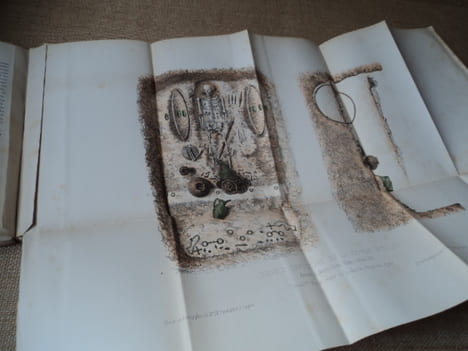 Mémoires de la Société d'Agriculture, commerce, sciences et arts du département de la Marne, année 1875-1876.. COLLECTIF.