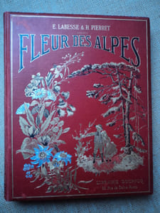 Notre Pays de France. FLEUR DES ALPES.