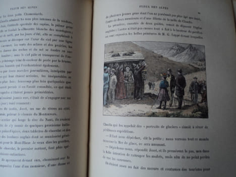 Notre Pays de France. FLEUR DES ALPES.. LABESSE Ed.-D. et PIERRET H.