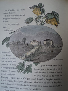 Notre Pays de France. FLEUR DES ALPES.. LABESSE Ed.-D. et PIERRET H.