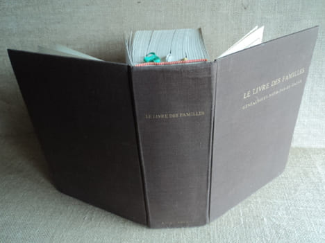 LE LIVRE DES FAMILLES, GENEALOGIES - NORD - PAS-DE-CALAIS.. (RAVET-ANCEAU)