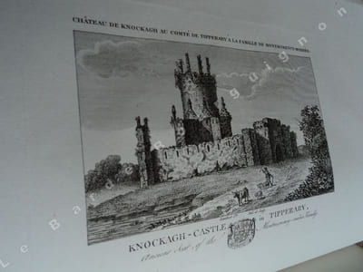 LES MONTMORENCY DE FRANCE ET LES MONTMORENCY D'IRLANDE ou précis historique des démarches faites à l'occasion de la reprise du nom de ses ancêtres par la branche de Montmorency-Marisco-Morrès par le chef de cette dernière maison avec la généalogie complète et détaillée des Montmorency d'Irlande.