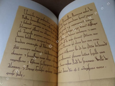 Inventaire des Archives Dauphinoises de M. Henry Morin-Pons, dossiers généalogiques A - C.. [MORIN-PONS] CHEVALIER Ulysse et André LACROIX (rédigé et ...