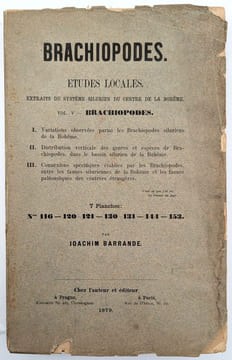 Brachiopodes. Études Locales. Extraits du Système Silurien du Centre de la Bohême. Vol. V. Brachiopodes. BARRANDE, Joachim