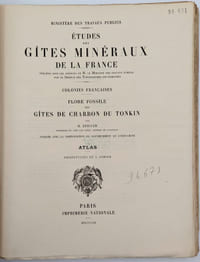 Flore fossile des gîtes de charbon du Tonkin : atlas seul