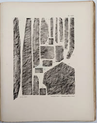 Flore fossile des gîtes de charbon du Tonkin : atlas seul
