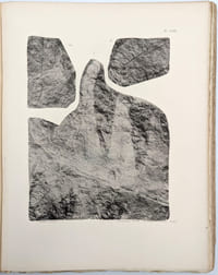 Flore fossile des gîtes de charbon du Tonkin : atlas seul