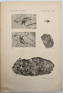 Description de fossiles paléozoïques et mésozoïques recueillis par MM. Dussault et Fromager en Extrême-Orient