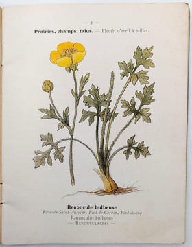 [Catalogue]. KLINCKSIECK (Librairie des Sciences Naturelles Paul) ; LHOMME, Léon (Successeur)