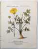 [Catalogue]. KLINCKSIECK (Librairie des Sciences Naturelles Paul) ; LHOMME, L&eacute;on (Successeur)