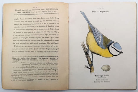 [Catalogue]. KLINCKSIECK (Librairie des Sciences Naturelles Paul) ; LHOMME, Léon (Successeur)