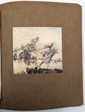 Piter Pan dans les Jardins de Kensington. RACKHAM, Arthur (illustrateur) | BARRIE, James Matthew