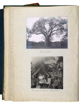 En Afrique Équatoriale [Chasse aux trophées en Afrique orientale britannique]. TAPUSCRIT | COCHIN, Suzanne (épouse DE LA MOTTE SAINT-PIERRE)