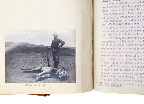 En Afrique Équatoriale [Chasse aux trophées en Afrique orientale britannique]. TAPUSCRIT | COCHIN, Suzanne (épouse DE LA MOTTE SAINT-PIERRE)
