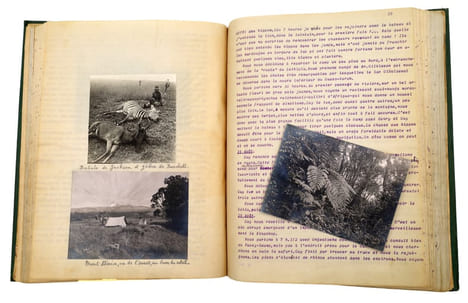 En Afrique Équatoriale [Chasse aux trophées en Afrique orientale britannique]. TAPUSCRIT | COCHIN, Suzanne (épouse DE LA MOTTE SAINT-PIERRE)