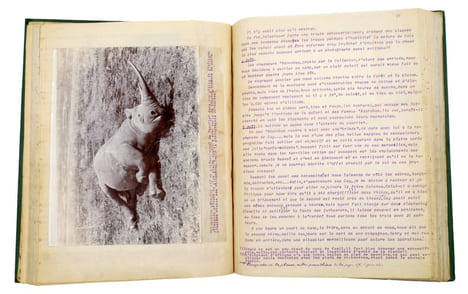 En Afrique Équatoriale [Chasse aux trophées en Afrique orientale britannique]. TAPUSCRIT | COCHIN, Suzanne (épouse DE LA MOTTE SAINT-PIERRE)