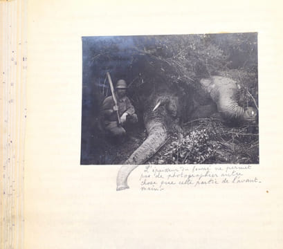 En Afrique Équatoriale [Chasse aux trophées en Afrique orientale britannique]. TAPUSCRIT | COCHIN, Suzanne (épouse DE LA MOTTE SAINT-PIERRE)