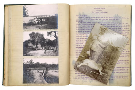 En Afrique Équatoriale [Chasse aux trophées en Afrique orientale britannique]. TAPUSCRIT | COCHIN, Suzanne (épouse DE LA MOTTE SAINT-PIERRE)