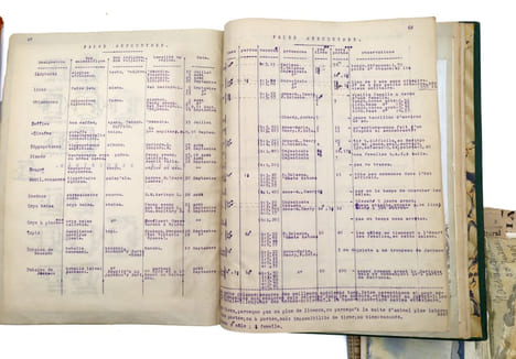 En Afrique Équatoriale [Chasse aux trophées en Afrique orientale britannique]. TAPUSCRIT | COCHIN, Suzanne (épouse DE LA MOTTE SAINT-PIERRE)