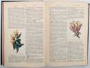 Dictionnaire d'horticulture. BOIS, D&eacute;sir&eacute;