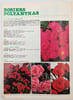 [Catalogue]. MONTR&Eacute;AL, A (P&eacute;pini&egrave;res)