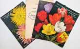 [4 Catalogues]. VANDERSCHOOT, Antoine C. (Soci&eacute;t&eacute; Anonyme)
