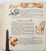 [Catalogue]. SEMAINIER SCANDALE